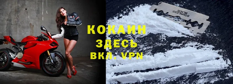 kraken зеркало  Терек  Cocaine 99% 