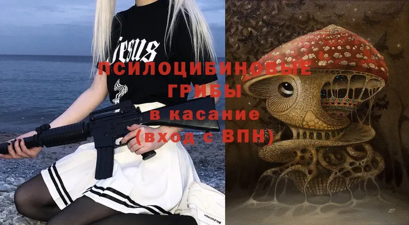 Псилоцибиновые грибы Magic Shrooms  Терек 