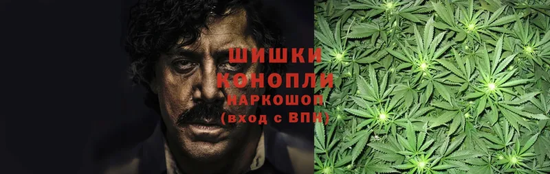 Канабис Ganja  Терек 